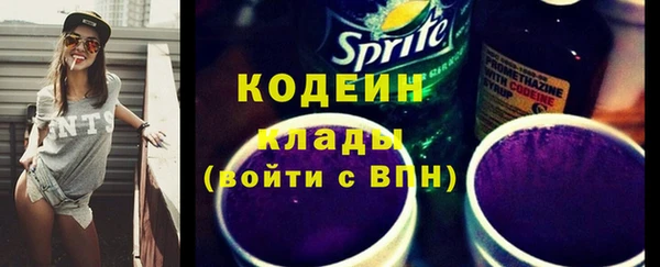шишки Иннополис