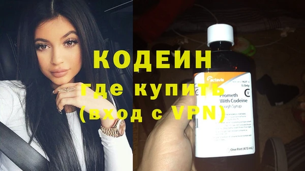 шишки Иннополис