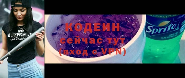 шишки Иннополис