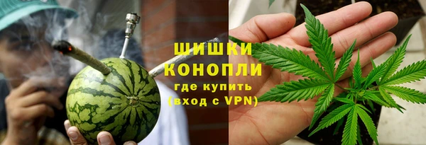 шишки Иннополис